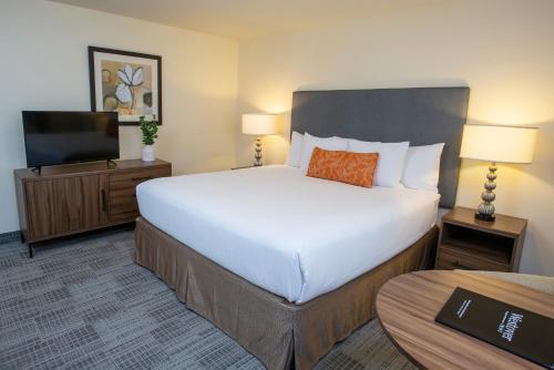 1 queen bed