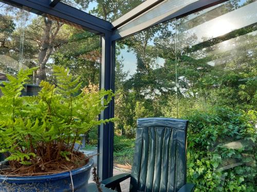 Vakantiewoning Zwaluw Beerze in Buurtschap Beerze