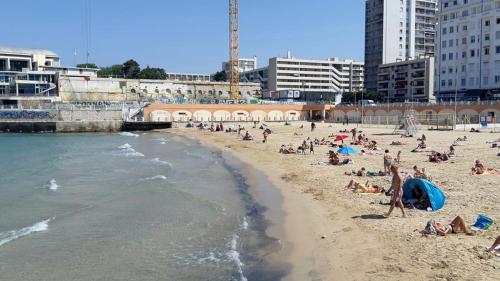 Appartement la Marseillaise