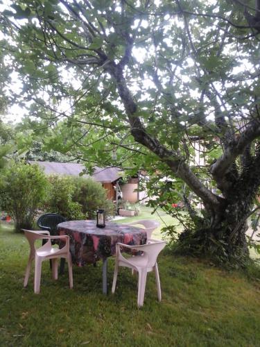 Gîte l'appel de la Forêt - Location saisonnière - Betplan