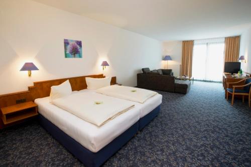 阿爾皮娜阿泊文森特山林小屋 (Alpina Lodge Hotel Oberwiesenthal) in 上維森塔爾