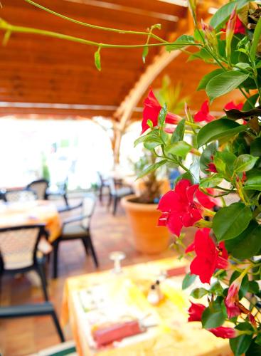 Au Soleil Hôtel Restaurant & Spa - image 14