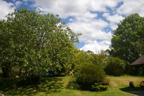 정원, Gîte l'appel de la Forêt (Gite l'appel de la Foret) in 로우데스 시티 센터