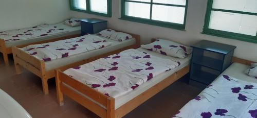 Aqua Hostel - image 3