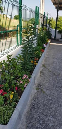 Ferrinho - image 6