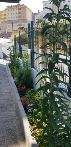 Ferrinho - image 7