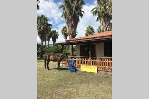 New Ranch Club Bungalow, 3 min del mar gîte à louer Calatabiano