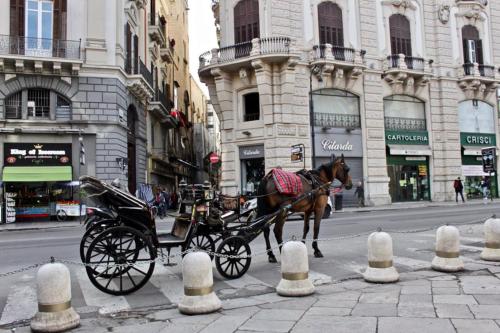 Nido Verde Locazione turistica Palermo, Palermo (fotografie 5)