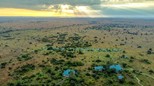 Africa Safari Serengeti Ikoma - Wildebeest migration is around!