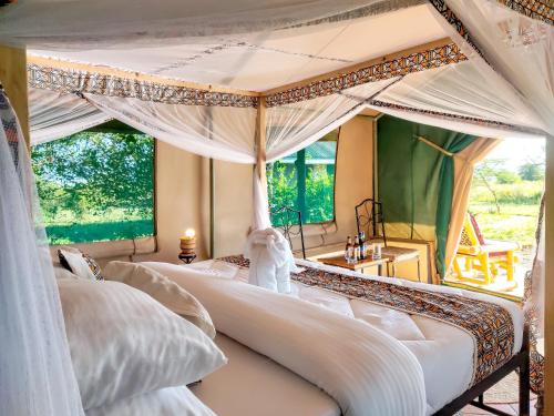 Zebra kemangore Bush Tented Lodge in Serengeti