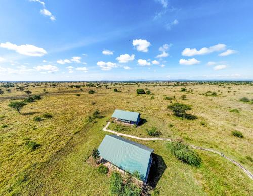 Africa Safari Serengeti Ikoma - Wildebeest migration is around!