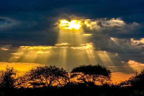 Africa Safari Serengeti Ikoma - Wildebeest migration is around!