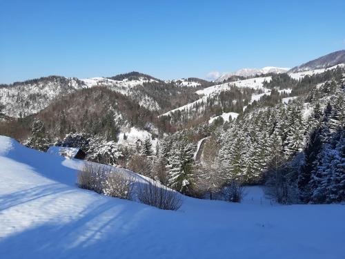 Apkārtne, Apartma Teloh in Kopacnica