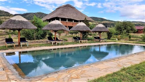 Africa Safari Lake Natron