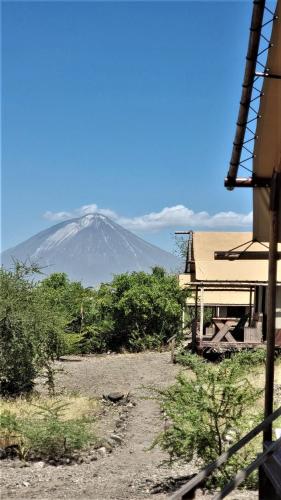 Africa Safari Lake Natron