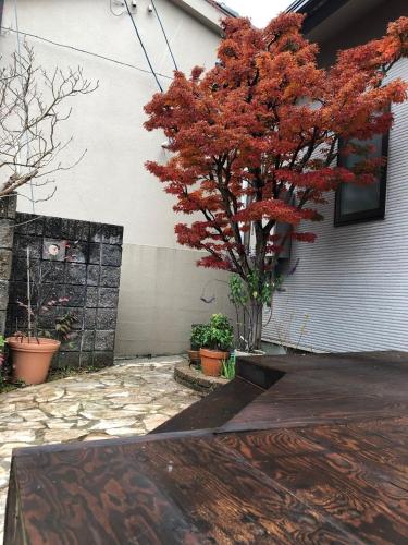 Noto sea - Vacation STAY 17765v