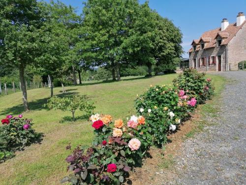 Maison vue reposante sur la campagne sarthoise gîte à louer Saint-Christophe-en-Champagne