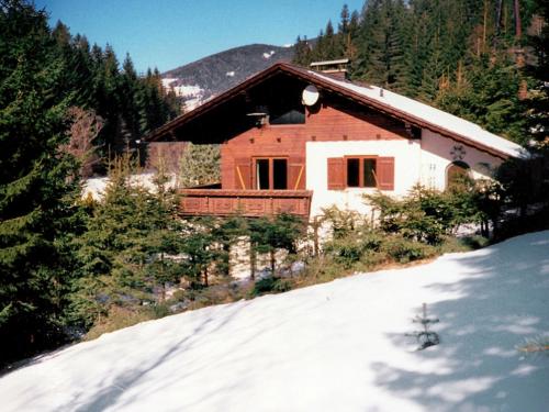  Holiday Home Sternisa in Hirschegg Rein