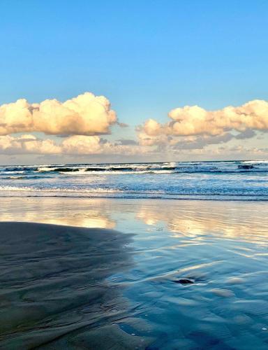 Beach Resort at S Padre Island - image 12