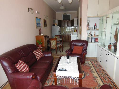 Apartment Petrović - image 5