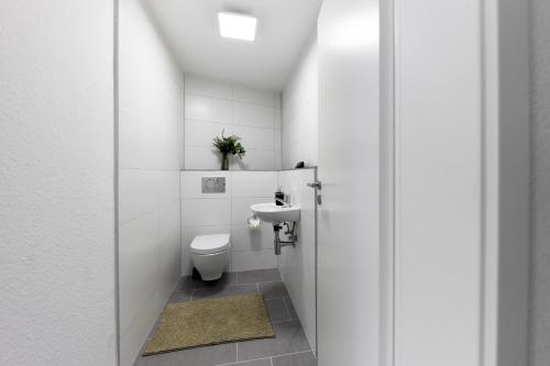 Wohnung 14 - ohne Auto in den Europa-Park, Рингсхайм (фото 8)
