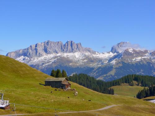 Chalet Börtji