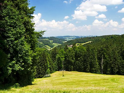 Apartment Egggraben by Interhome in Hasle Bei Burgdorf