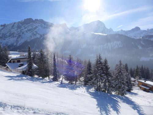  Apartment Les Petites Maraîches 132-389 by Interhome, Unterkunft in Taveyannaz