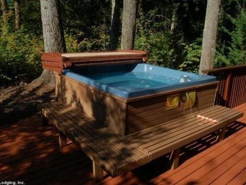 Holiday Home 44MBR Rustic Cabin with a Hot Tub - image 9
