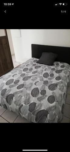 Le Studio Rochelais Le Studio Rochelais