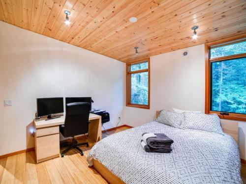 Apartment 42GS-Modern yet Rustic Cabin for 4! - image 4