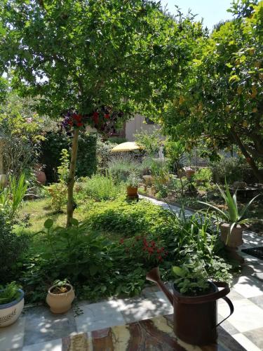 Eco Pisa Tower Guesthouse - Tap to explore photos