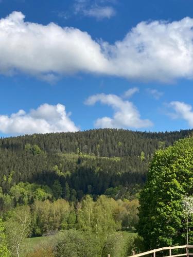 Apartman Brcalnik Sumavske Strane in Hojsova Stráž