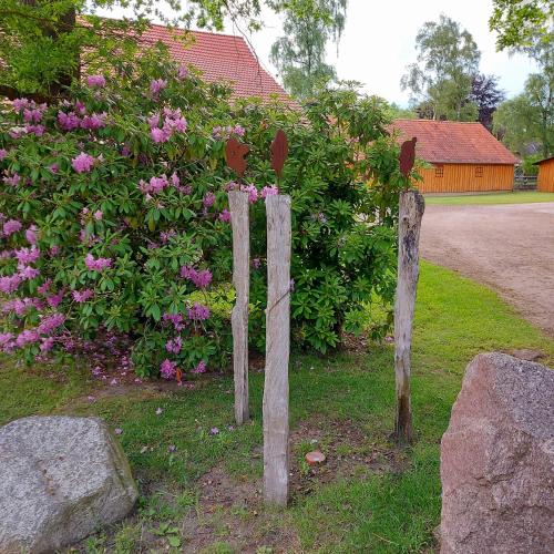 Röhrshof - image 3