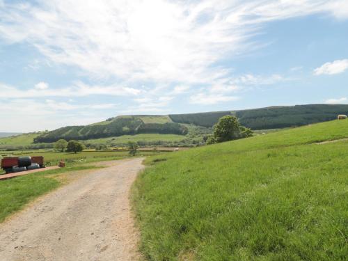 Wood Cottage - image 10