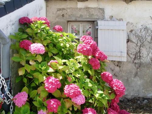 Maison de 2 chambres a Lanester avec jardin amenage gîte à louer Kermorvan