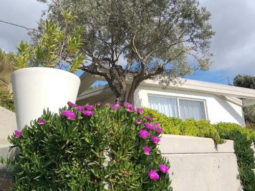 Sivas Hill Bungalows - main image