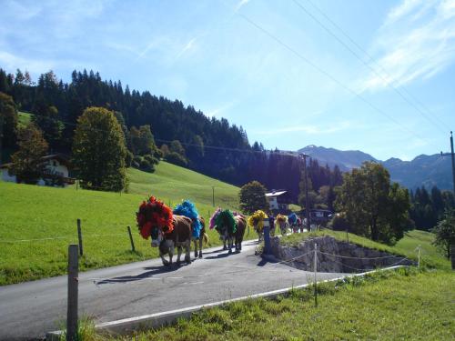 Scherntreinerhof - image 11