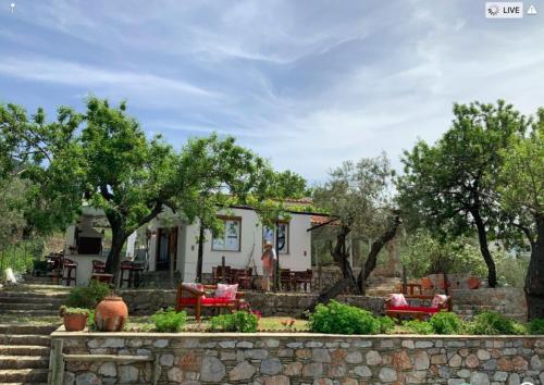 Del & Sol, Skopelos (zdjęcie 2)