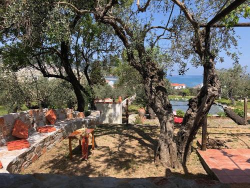 Del & Sol, Skopelos (zdjęcie 6)