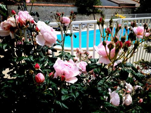 La Villa des Roses Gîte Chambres d'hôtes Piscine chauffée