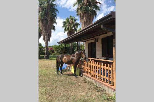 New Ranch Club Bungalow 2, 3 min del mar gîte à louer Calatabiano