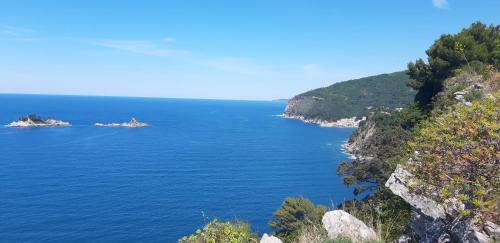 BOK HOLIDAY HOME Petrovac in Petrovac