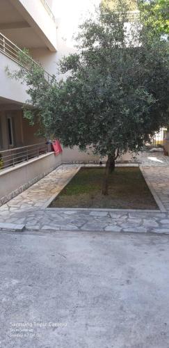 BOK HOLIDAY HOME Petrovac in Petrovac