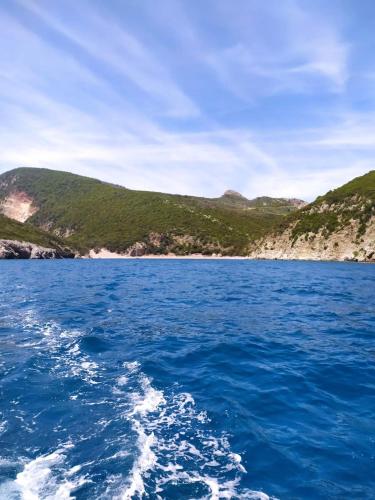BOK HOLIDAY HOME Petrovac in Petrovac