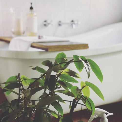 Treehouse Hideouts - Ground Level - Heygarth House Townhouse - Port of Echuca, Echuca