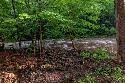 Private Creek Access - On ONE ACRE