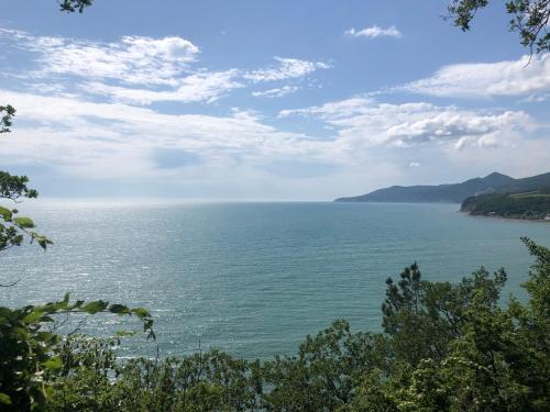 Криница приморский бул 2 село криница фото Криница приморский бул 2 село криница фото