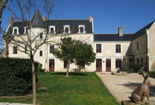 Gites Aubelle - La Maison Aubelle - Chambre d'hôtes - Montreuil-Bellay