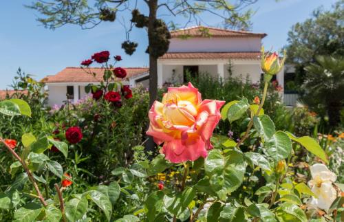 Quinta de Sao Pedro Almada